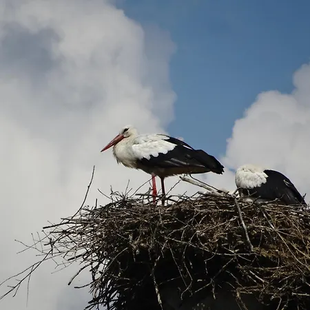 Villa Mazurskie Uroczysko *