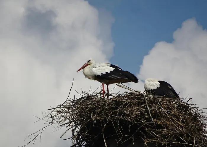 Вилла Mazurskie Uroczysko *